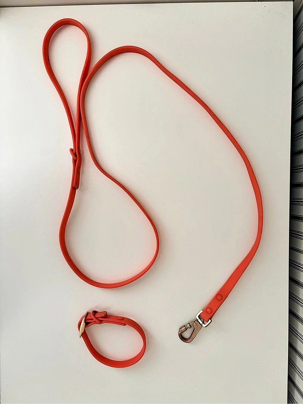 Orange / Pink dog water proof collar and leash
